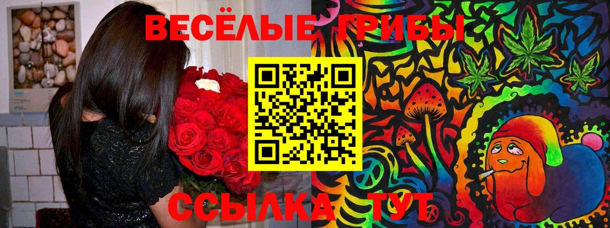 Псилоцибиновые грибы MAGIC MUSHROOMS Семёнов
